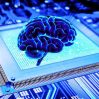 Creierul uman, un calculator cuantic?!