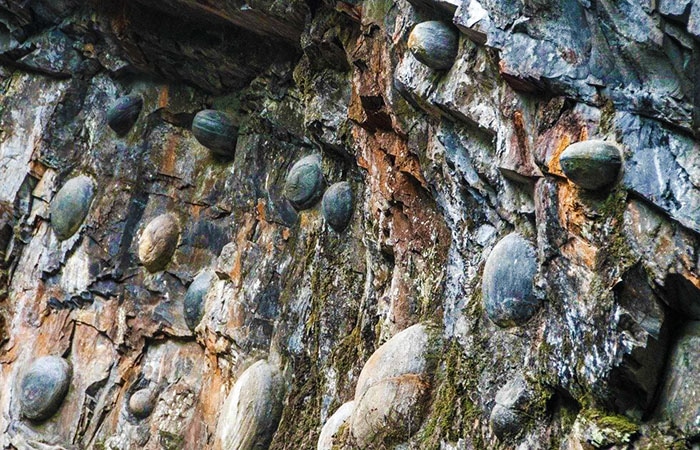 pietrele-rotunde-care-ies-din-munti-muntele-din-gulu-zhai