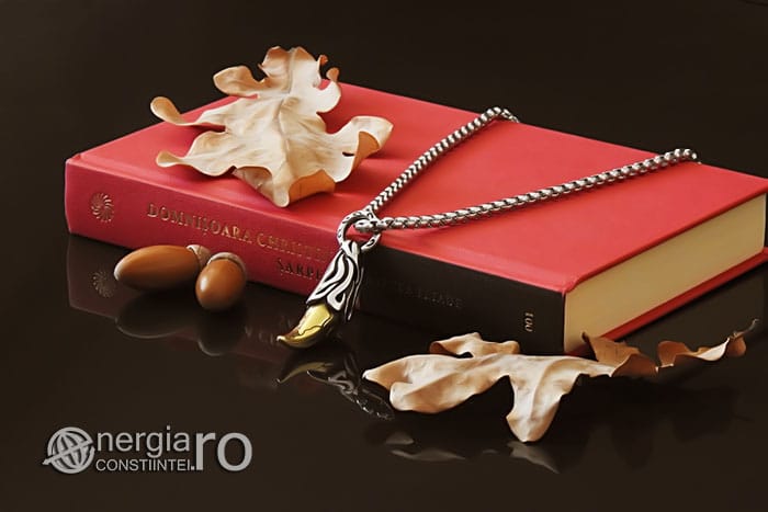 amuleta-talisman-medalion-colier-pandant-pandantiv-colt-de-lup-caine-inox-PND290-02