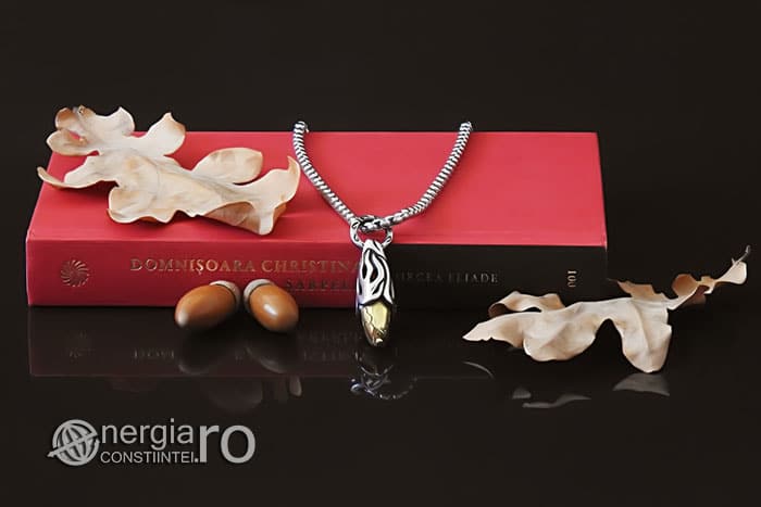 amuleta-talisman-medalion-colier-pandant-pandantiv-colt-de-lup-caine-inox-PND290-04