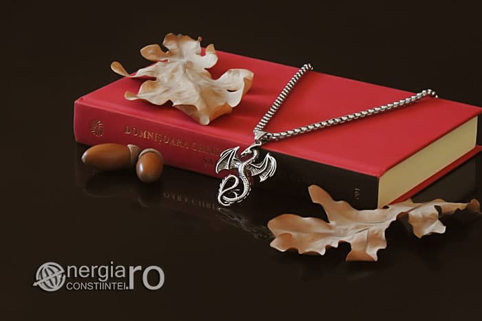 amuleta-talisman-medalion-colier-pandant-pandantiv-dragon-inaripat-protector-protectie-protectoare-curaj-inox-PND267-03