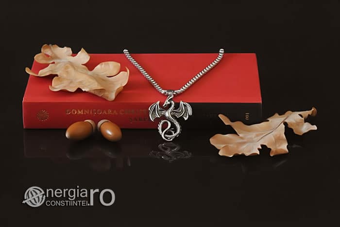 amuleta-talisman-medalion-colier-pandant-pandantiv-dragon-inaripat-protector-protectie-protectoare-curaj-inox-PND267-05