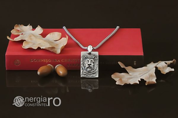 amuleta-talisman-medalion-colier-pandant-pandantiv-leu-protectie-protector-protectoare-inox-PND360-05
