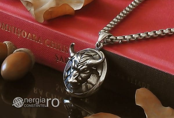 amuleta-talisman-medalion-colier-pandant-pandantiv-cap-da-taur-cap-de-bour-protectie-protector-protectoare-inox-PND254-04