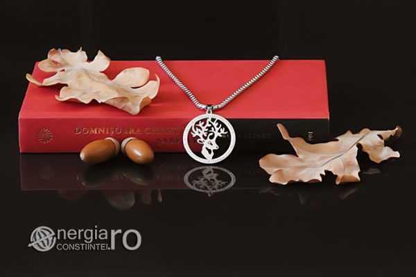 amuleta-talisman-lant-lantisor-medalion-colier-pandant-pandantiv-cerb-protector-protectie-protectoare-inox-PND277-04